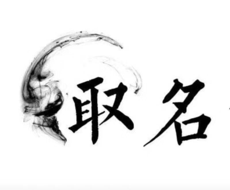  泸州宝宝取名 大师一对一人工起名