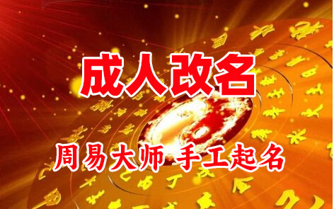 泸州成人改名-找大师一对一改名先分析后改名